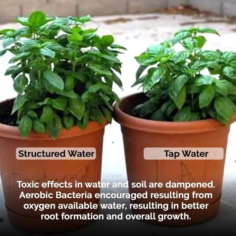 MagnaRay Advanced Revitalizer